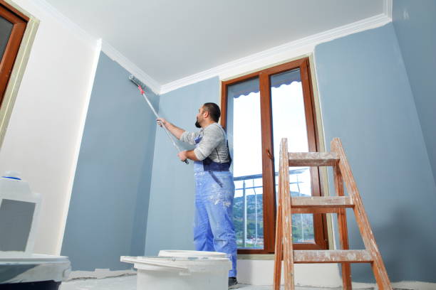 Best Trim and Molding Painting  in Hilltop, MN