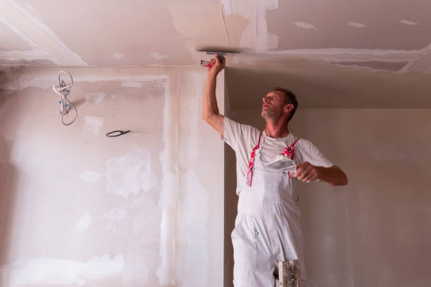 Trusted Hilltop, MN Dry wall and painting Experts